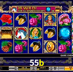 APP oficial da 55b para mobile