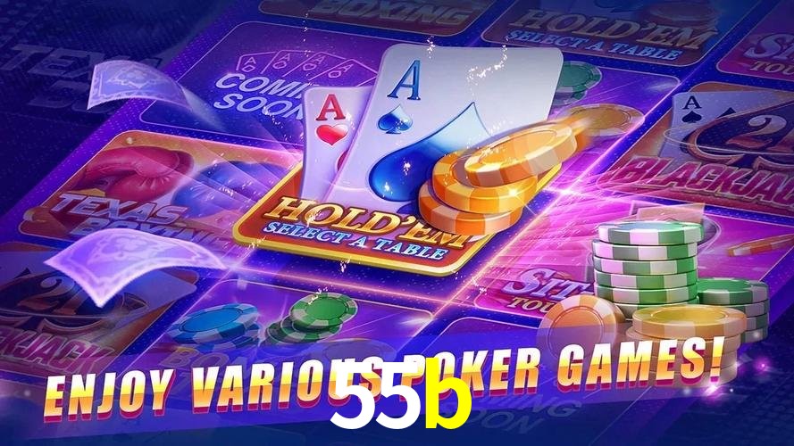 Sistemas de Segurança 55b